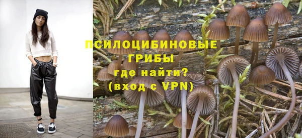 PSILOCYBIN Володарск